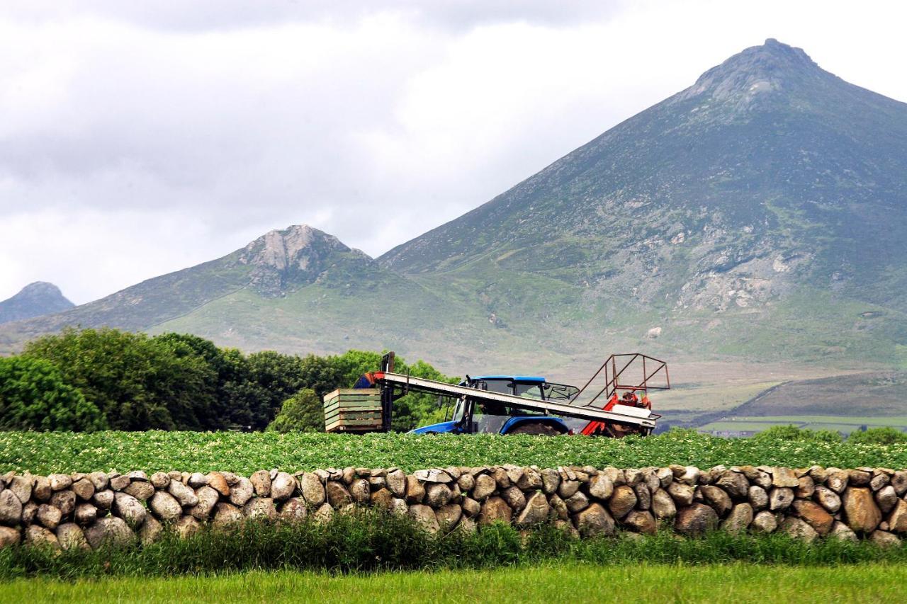 Ballykeel Farm, Mourne Mountains Ballymartin Exteriér fotografie