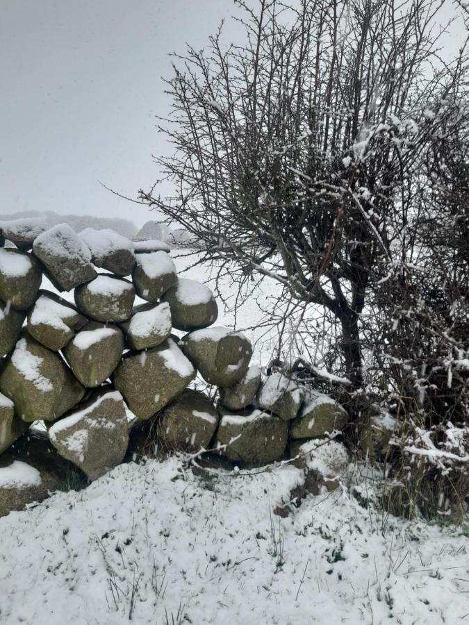 Ballykeel Farm, Mourne Mountains Ballymartin Exteriér fotografie