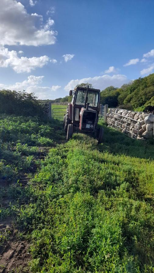 Ballykeel Farm, Mourne Mountains Ballymartin Exteriér fotografie